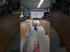 5 টন 5-40 মি স্প্যান ডাবল গিয়ার ক্রেন টপ রানিং ট্রলি সহ